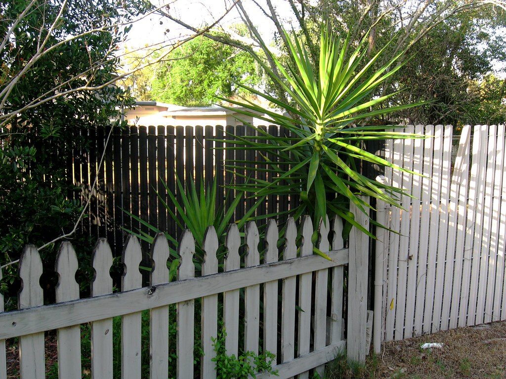 White timber picket fence with garden planting in a suburban section — fencing in Selwyn District